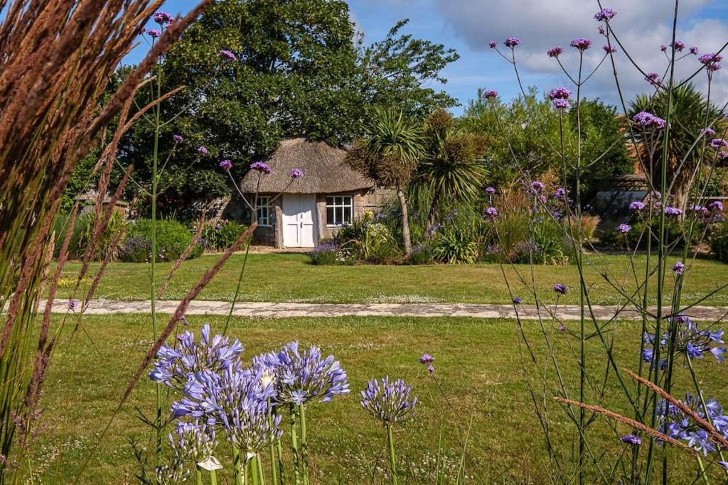 The Beach House-Devon- On The Beach- Sleeps 20 Villa Exmouth Exteriör bild