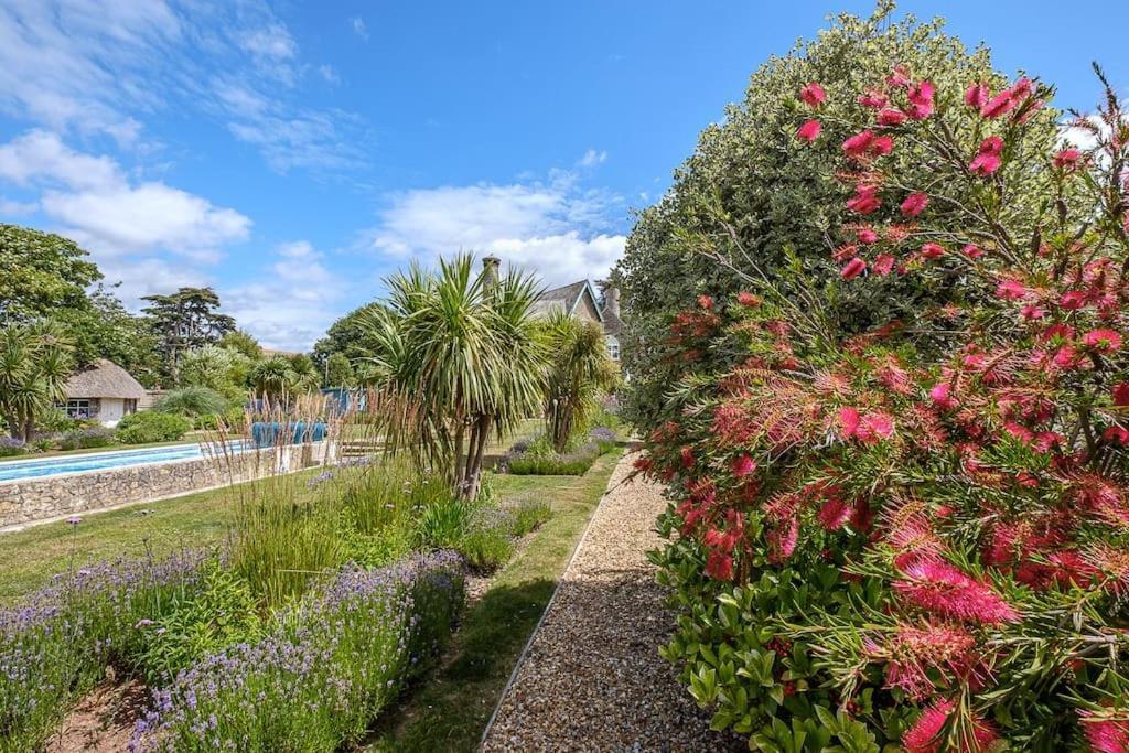 The Beach House-Devon- On The Beach- Sleeps 20 Villa Exmouth Exteriör bild