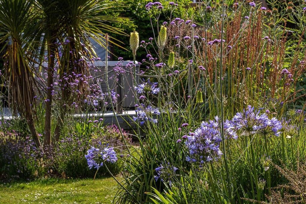 The Beach House-Devon- On The Beach- Sleeps 20 Villa Exmouth Exteriör bild